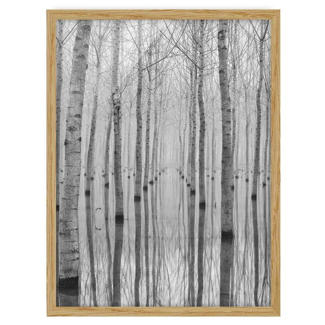 Tavlor med ram svart och vitt Birches In November