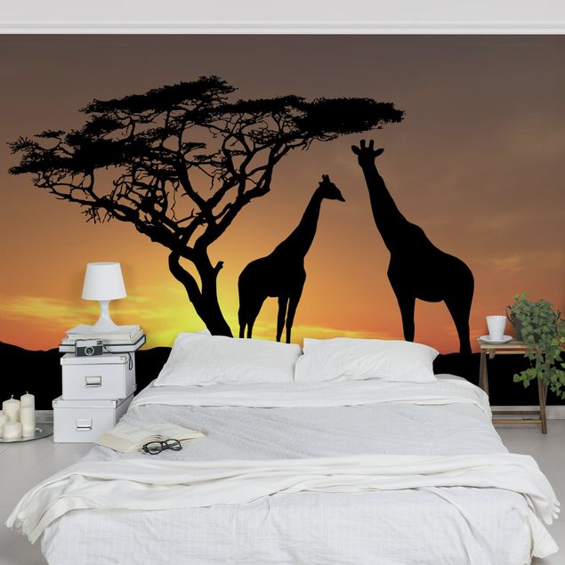 Fototapeter giraffer African Sunset