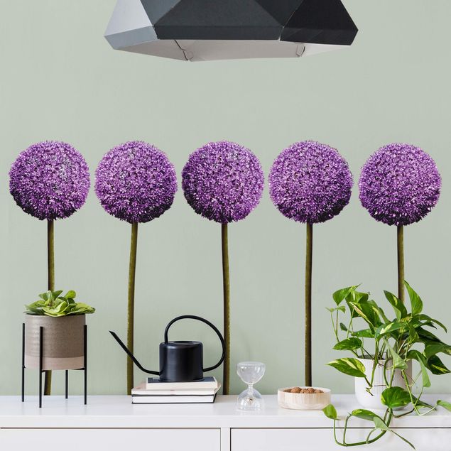Autocolantes de parede flores Allium Ball Blossoms Set of 5