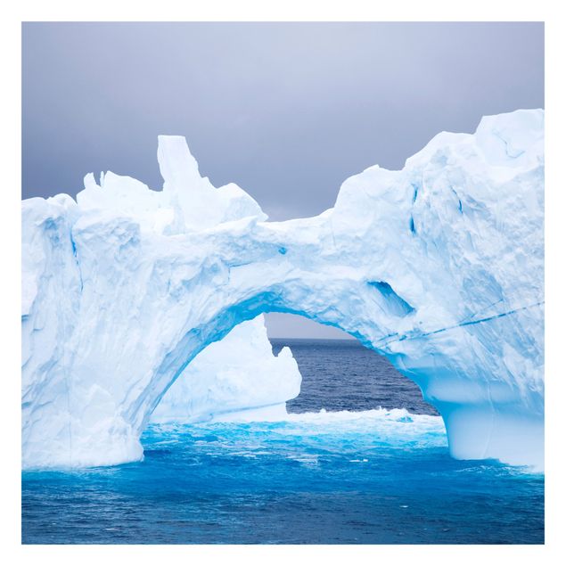 Fototapeter blå Antarctic Iceberg