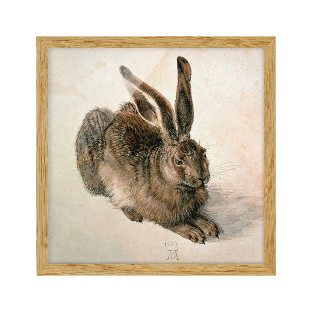 Tavlor med ram vintage Albrecht Dürer - Young Hare