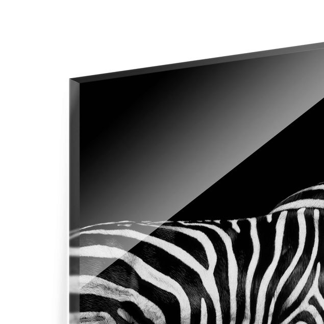 Tavlor Zebra In The Dark