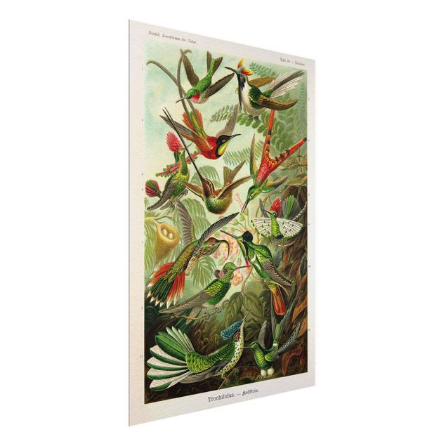 Tavlor blommor  Vintage Board Hummingbirds