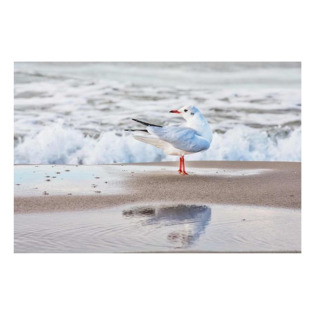 Glastavlor landskap Seagull On The Beach In Front Of The Sea