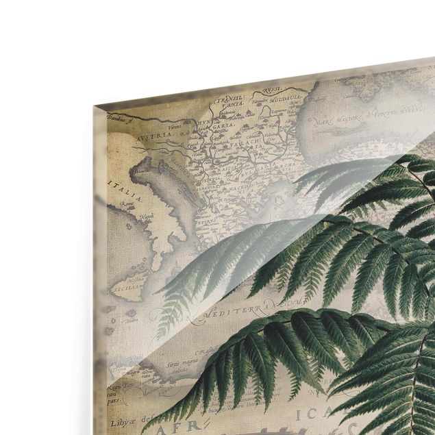 Tavlor Andrea Haase Vintage Collage - Palm And World Map