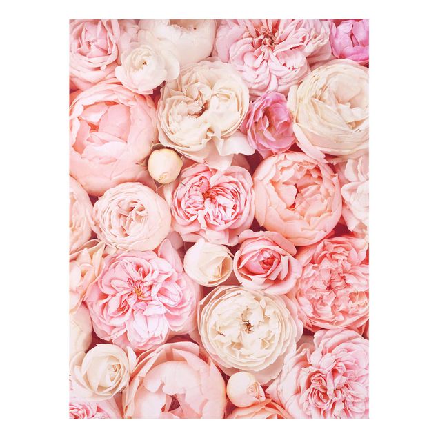 Tavlor blommor Roses Rosé Coral Shabby