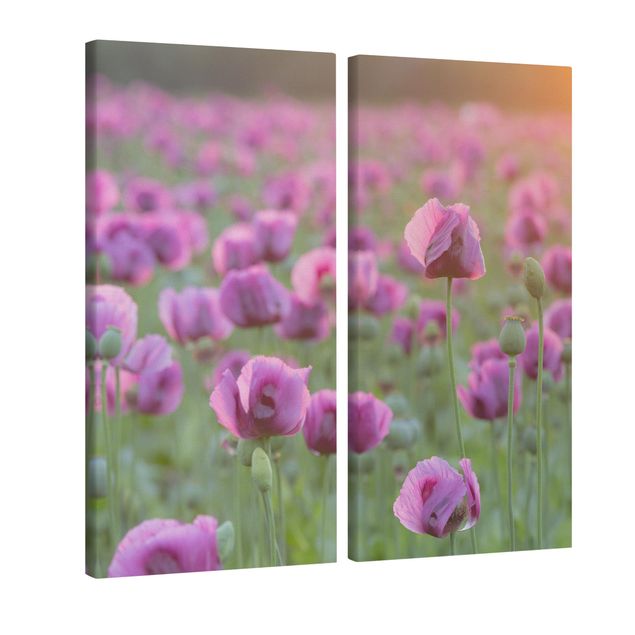 Canvastavlor bergen Purple Poppy Flower Meadow In Spring