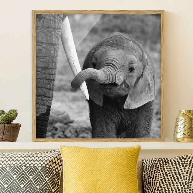 Kök dekoration Baby Elephant