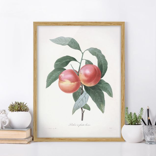 Kök dekoration Botany Vintage Illustration Peach