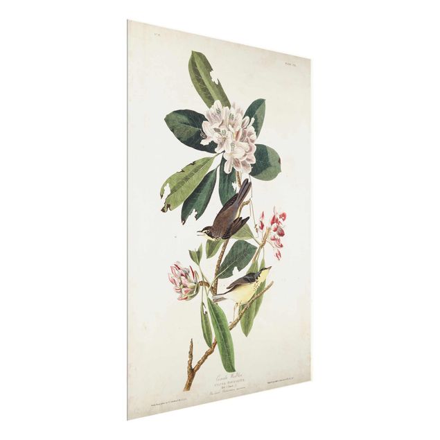 Tavlor blommor  Vintage Board Warbler