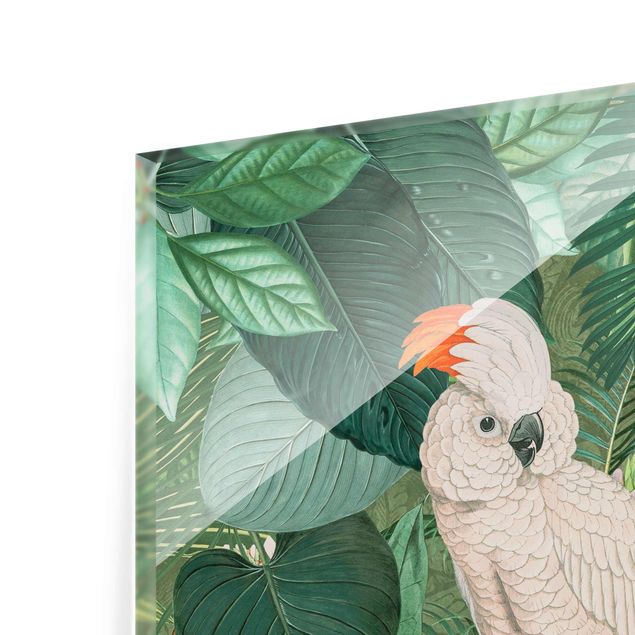 Tavlor Vintage Collage - Kakadu And Hummingbird
