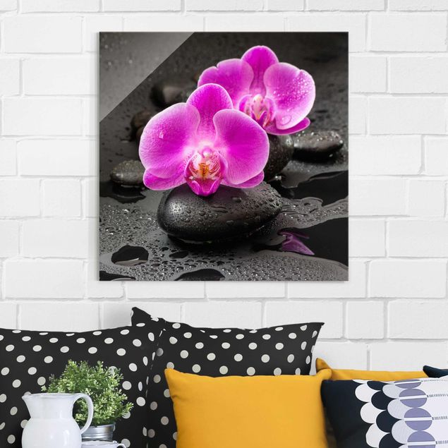 Glastavlor orkidéer Pink Orchid Flower On Stones With Drops