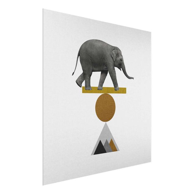 Tavlor modernt Art Of Balance Elephant