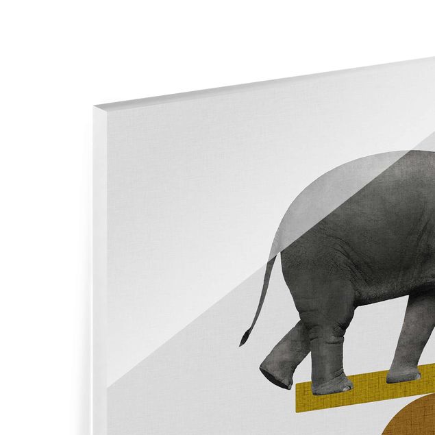 Glas Magnettavla Art Of Balance Elephant