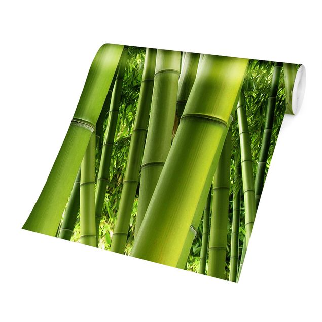 Fototapeter grön Bamboo Trees
