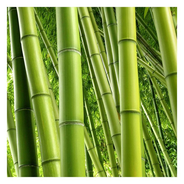 Tapeter Bamboo Trees