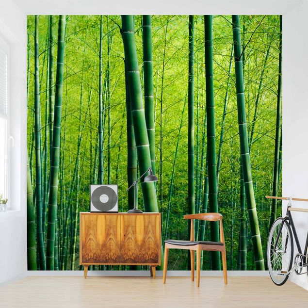 Fototapeter landskap Bamboo Forest
