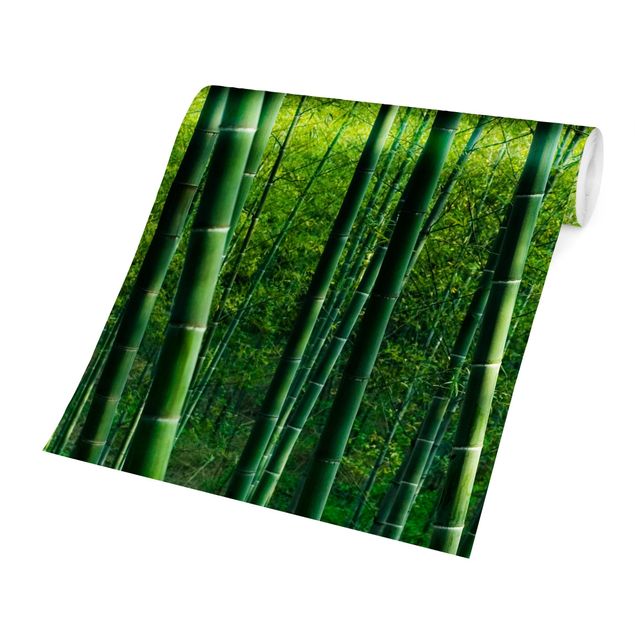 Fototapeter grön Bamboo Forest