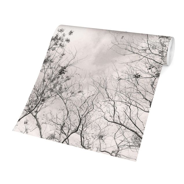 Fototapeter grått Treetops In The Sky In Warm Grey