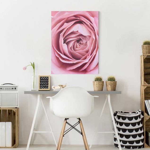 Canvastavlor blommor  Pink Rose Blossom