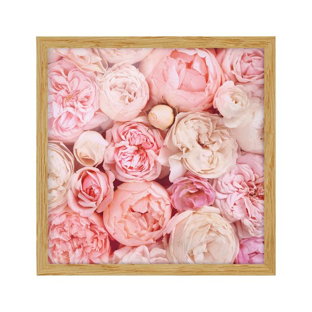 Tavlor blommor  Roses Rosé Coral Shabby