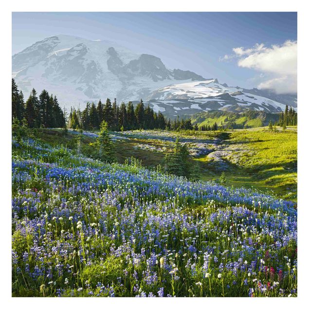 Tapeter modernt Mountain Meadow With Blue Flowers in Front of Mt. Rainier