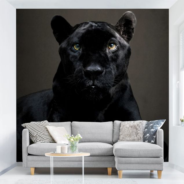 Kök dekoration Black Puma