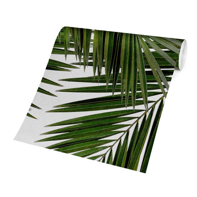 Fototapeter grön View Through Green Palm Leaves