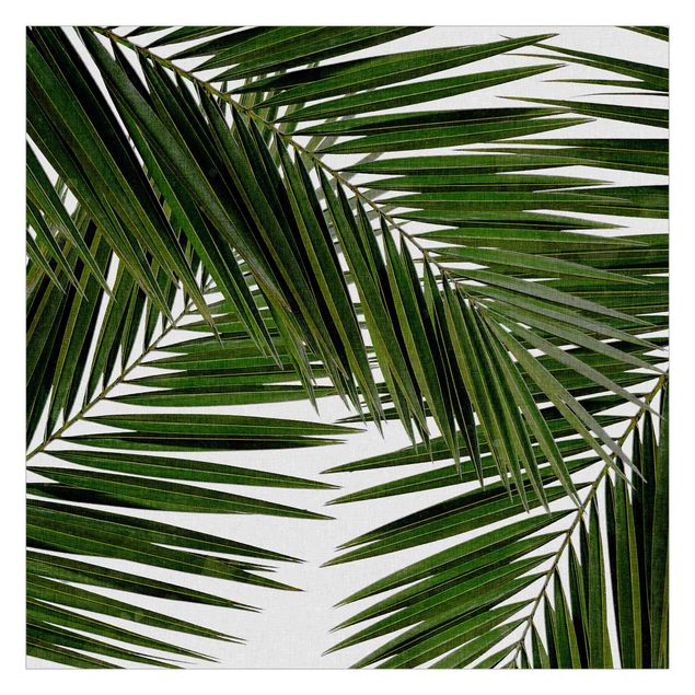 Tapeter View Through Green Palm Leaves