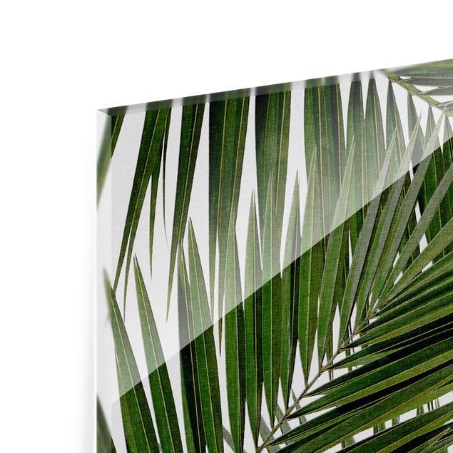 Tavlor View Through Green Palm Leaves