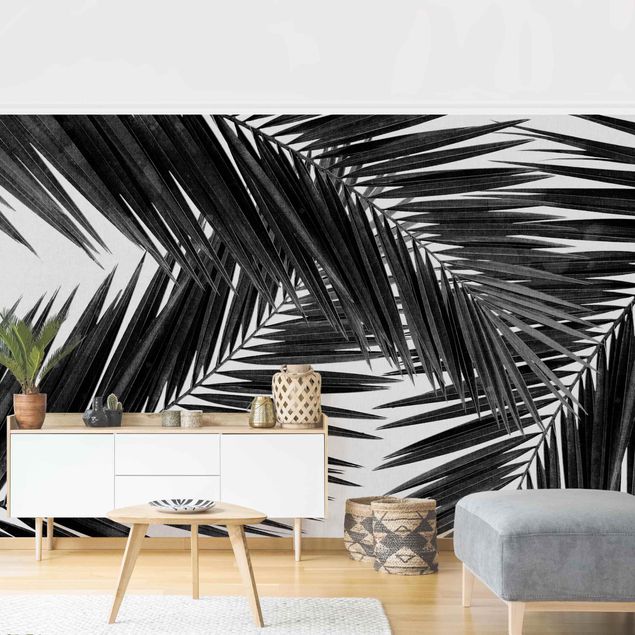 Fototapeter svart och vitt View Over Palm Leaves Black And White