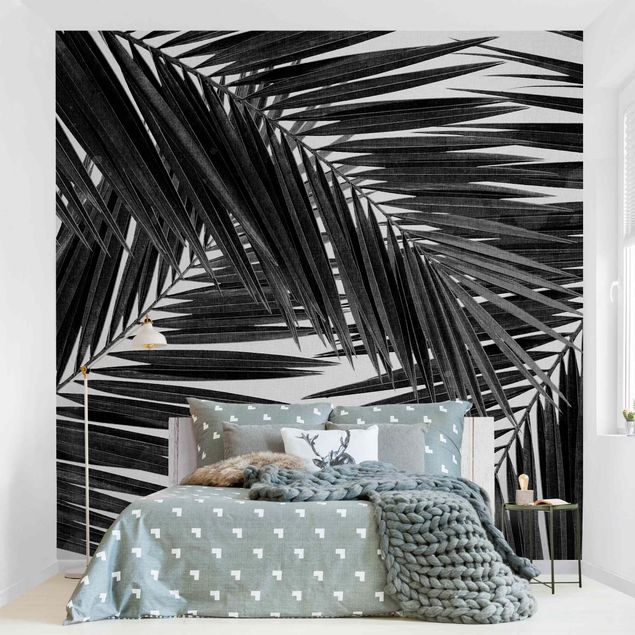 Fototapeter svart och vitt View Through Palm Leaves Black And White