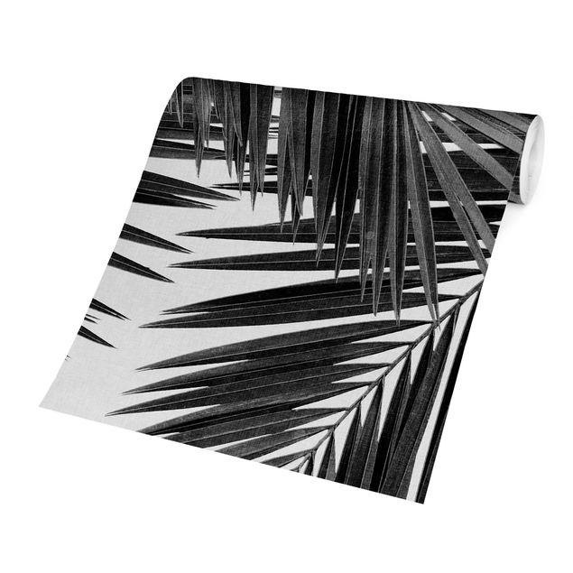 Tapeter View Through Palm Leaves Black And White