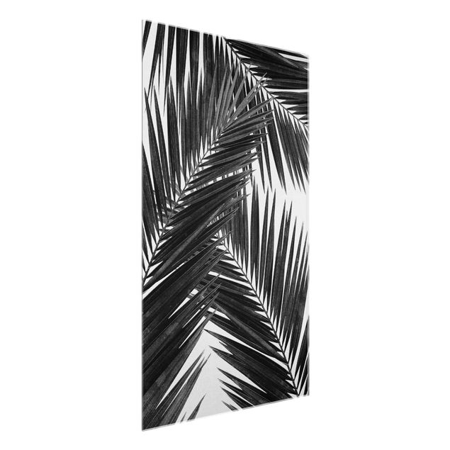 Glastavlor svart och vitt View Through Palm Leaves Black And White