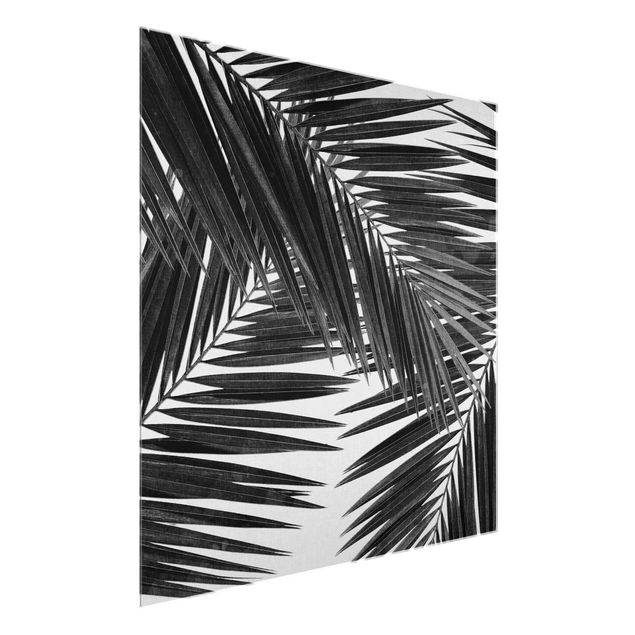 Glastavlor svart och vitt View Through Palm Leaves Black And White