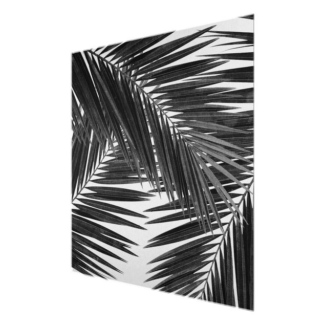 Tavlor svart och vitt View Through Palm Leaves Black And White