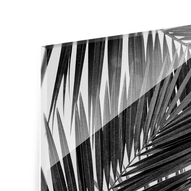 Tavlor View Through Palm Leaves Black And White