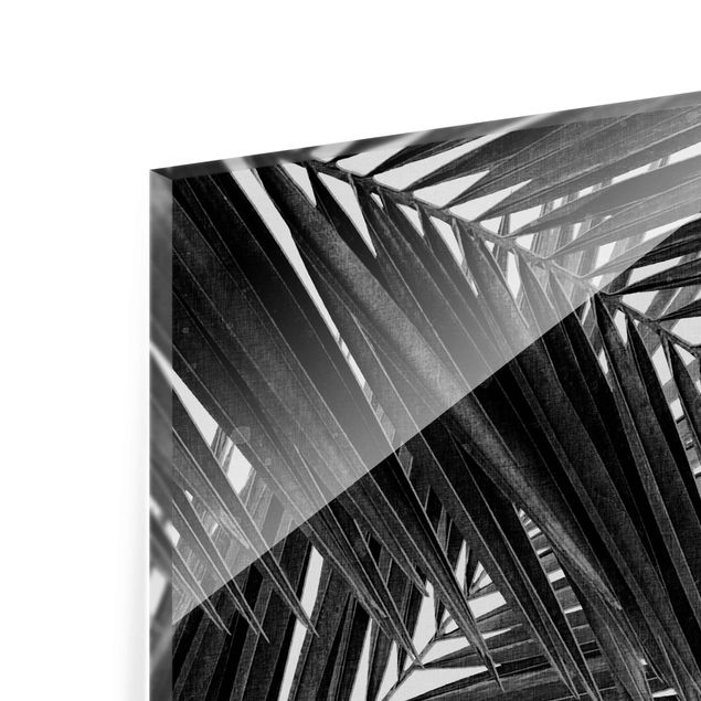 Tavlor View Through Palm Leaves Black And White