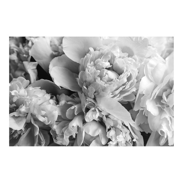 Tapeter Blossoming Peonies Black And White