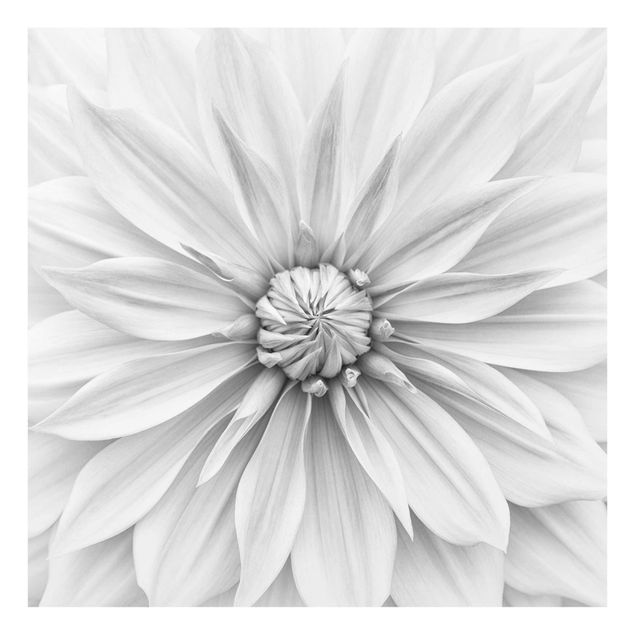 Tavlor svart och vitt Botanical Blossom In White