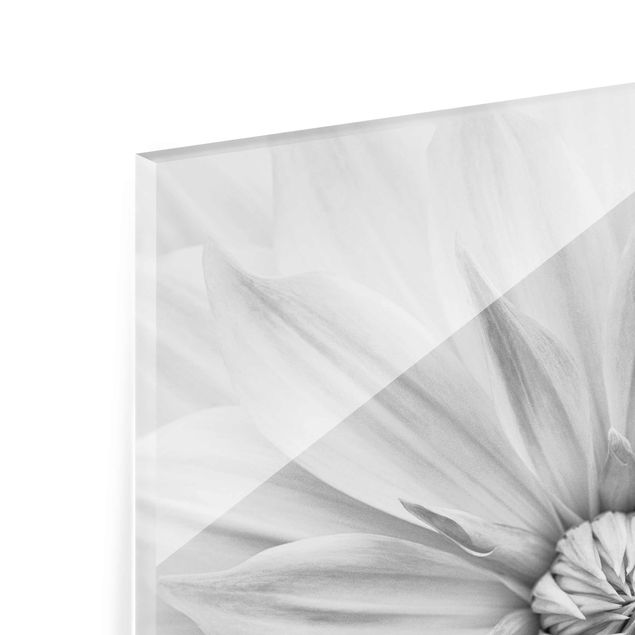 Magnettafel Glas Botanical Blossom In White