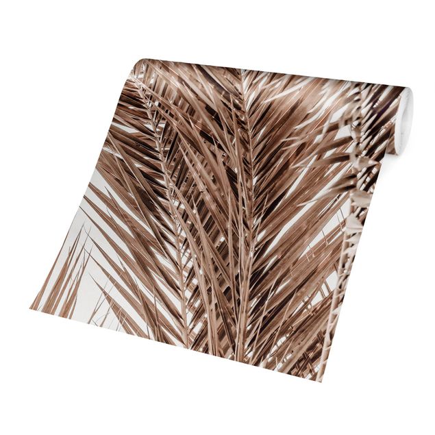 Fototapeter brun Bronze Coloured Palm Fronds