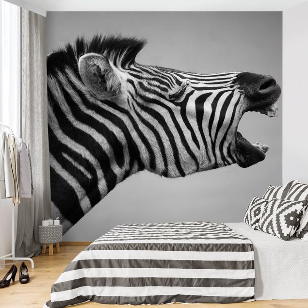 Fototapeter zebror Roaring Zebra ll