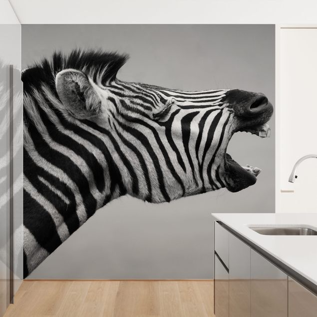 Fototapeter svart och vitt Roaring Zebra ll