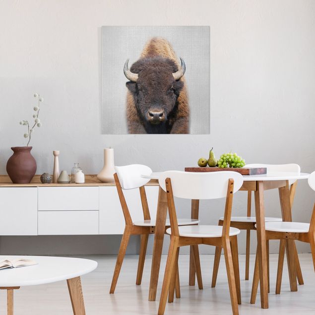 Canvastavlor djur Buffalo Bertram
