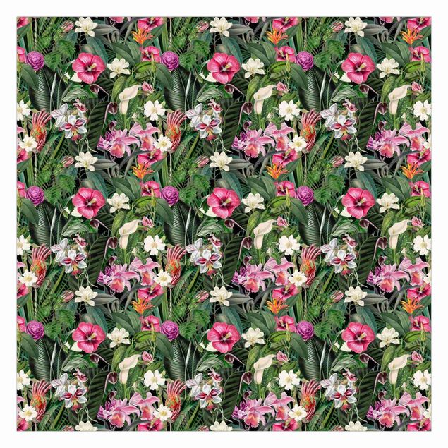 Tavlor Andrea Haase Colourful Tropical Flowers Collage