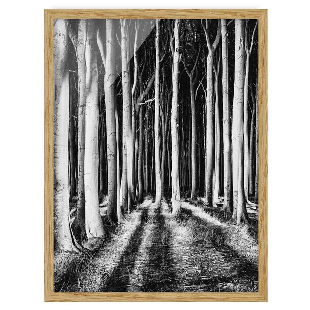 Tavlor med ram svart och vitt Spooky Forest