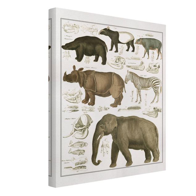 Canvastavlor Afrika Vintage Board Elephant, Zebra And Rhino