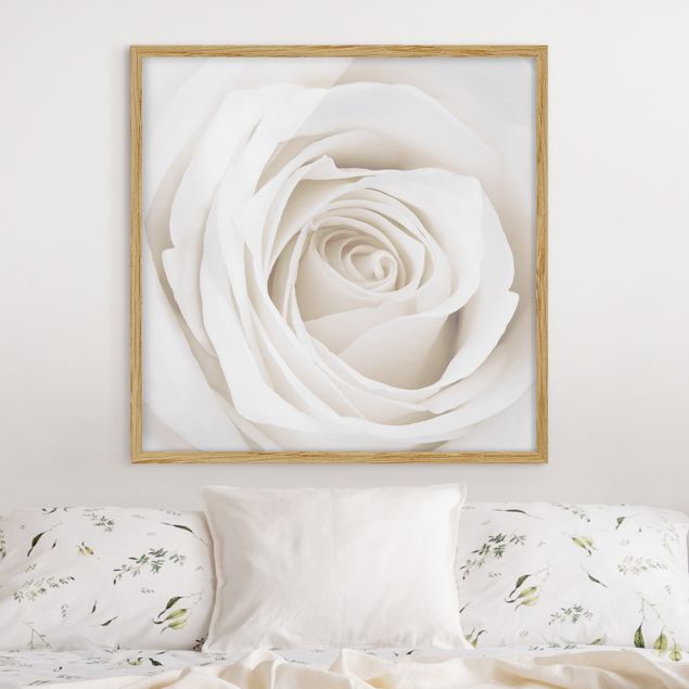 Tavlor med ram blommor  Pretty White Rose