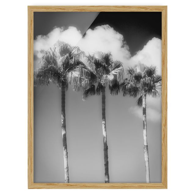 Tavlor med ram svart och vitt Palm Trees Against The Sky Black And White